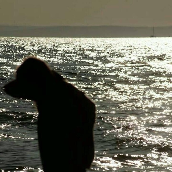 Meet your Posher, Joji m - Picture 2 of 2